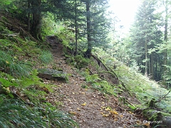 La pente devient raide et le chemin est devenu un petit sentier à flanc de montagne